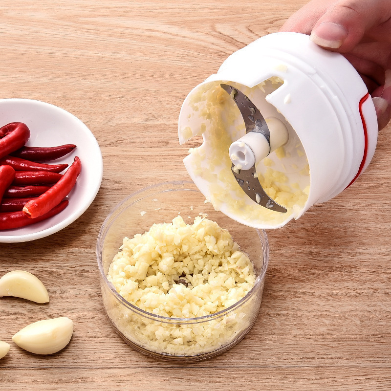 1PC Mini Garlic Crusher Press  - Kitchen Gadgets Garlic ulasan dan harga