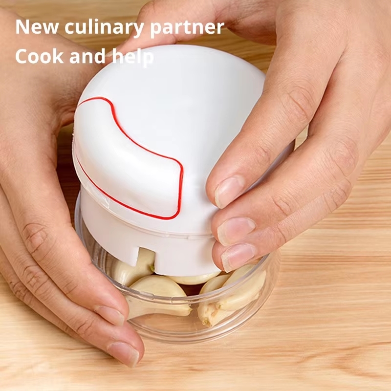 1PC Mini Garlic Crusher Press  - Kitchen Gadgets Garlic ulasan dan harga