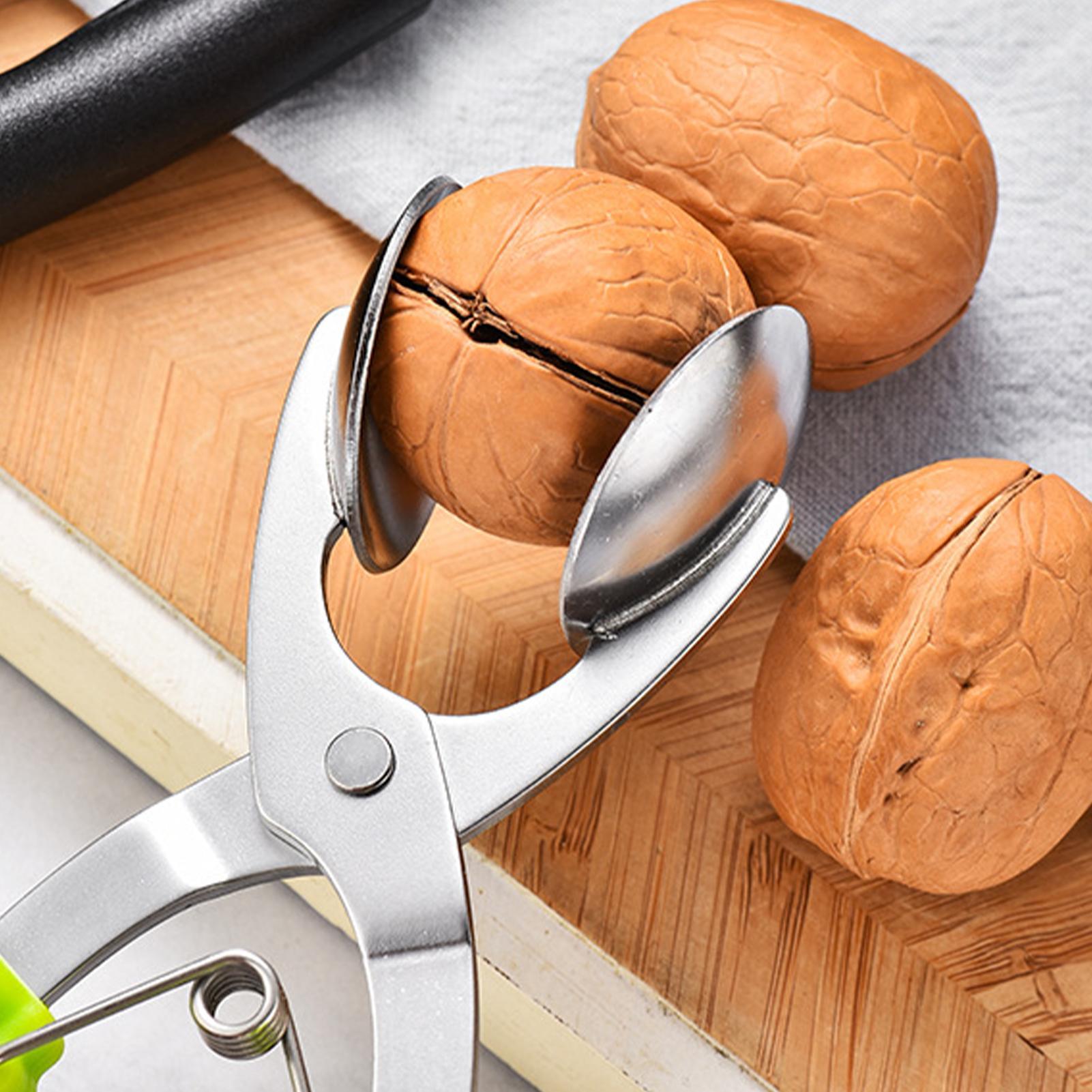 Stainless Chestnut Machine Kit - Kitchen Gadgets Machine ulasan dan harga