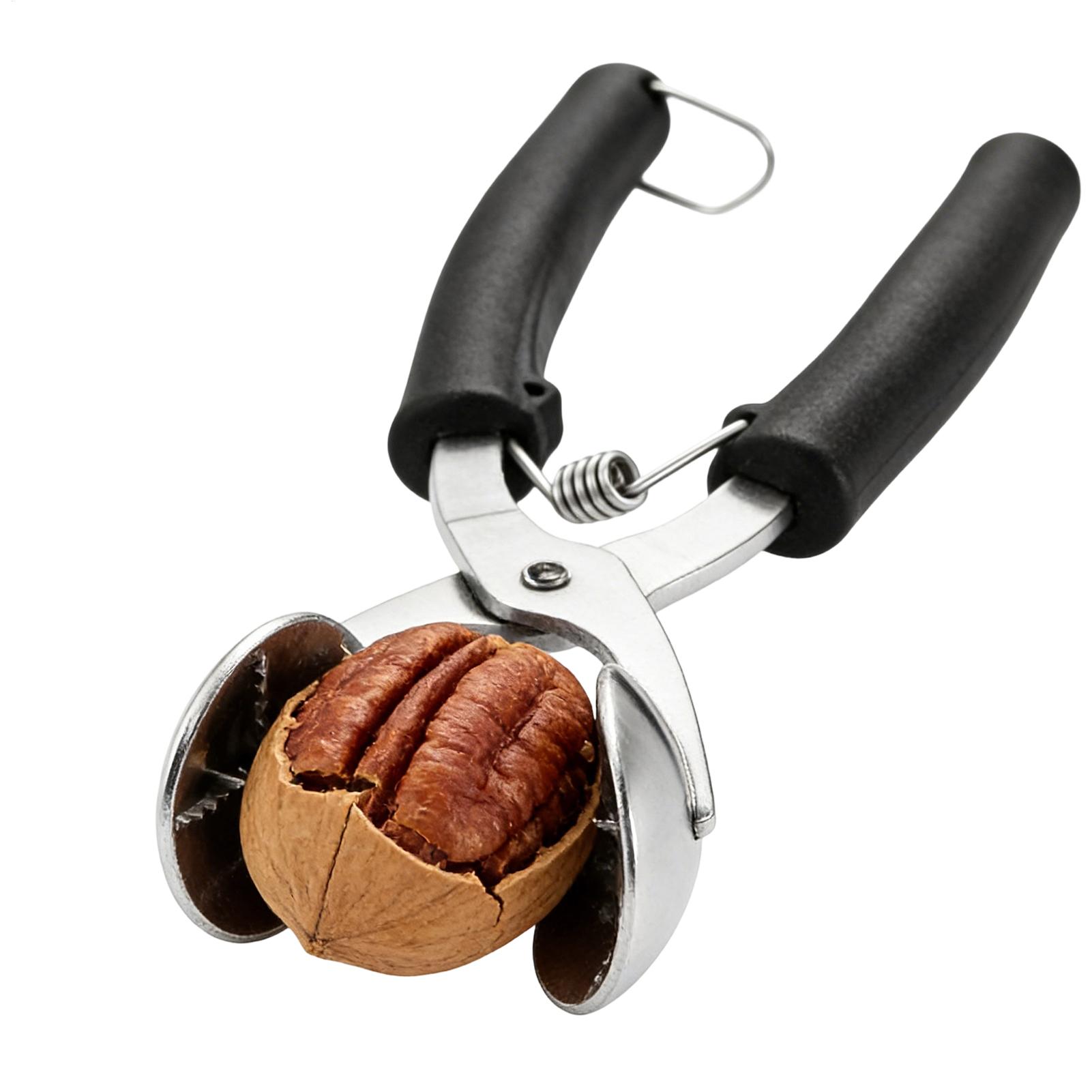 Stainless Chestnut Machine Kit - Kitchen Gadgets Machine ulasan dan harga