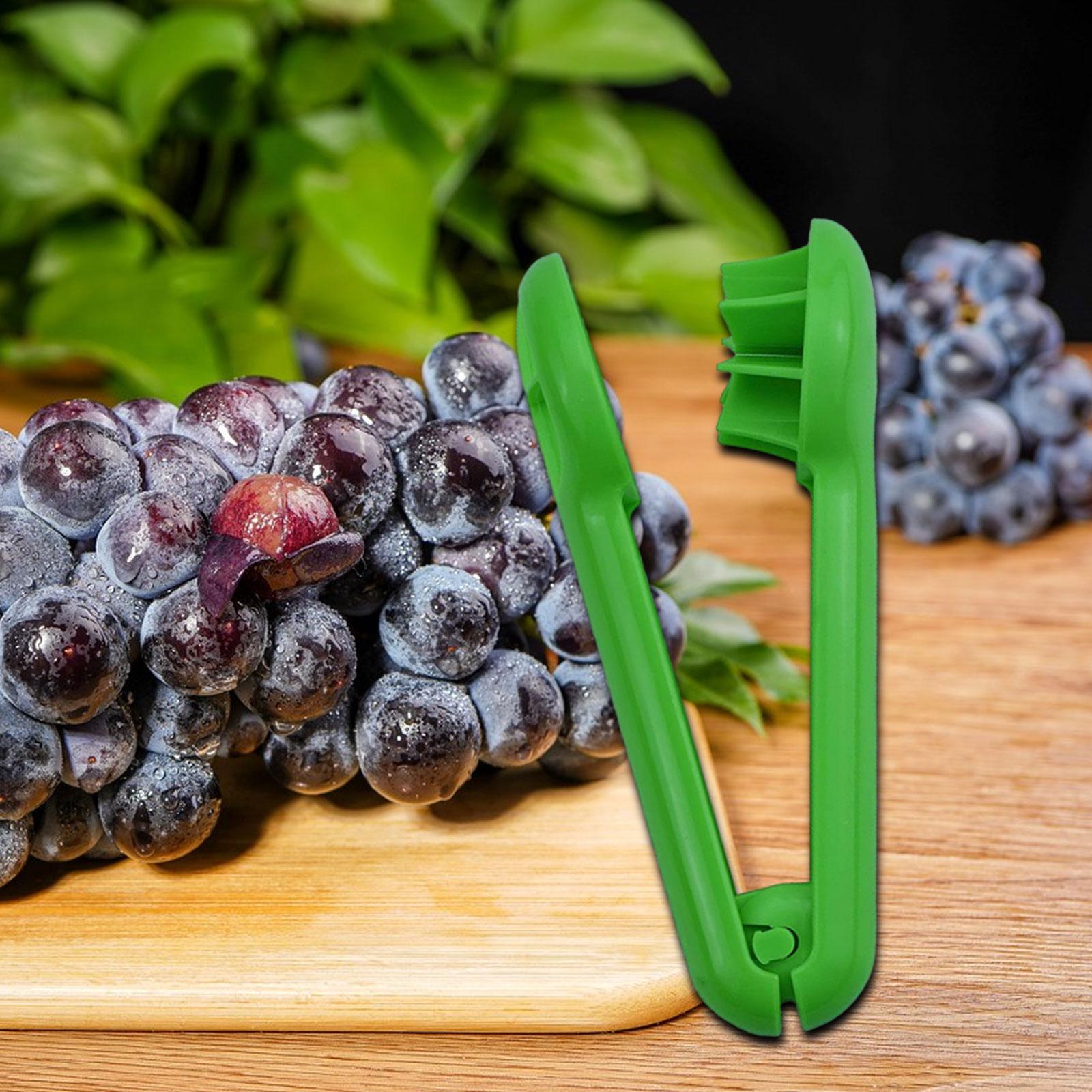 Grape Slicer, Cutting Tool Spl - Kitchen Gadgets For Kids ulasan dan harga
