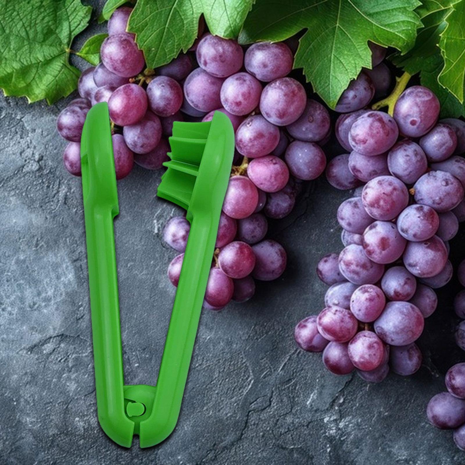 Grape Slicer, Cutting Tool Spl - Kitchen Gadgets For Kids ulasan dan harga